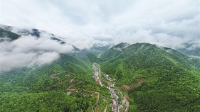牛背梁：让“生态颜值”成为“振兴产值”