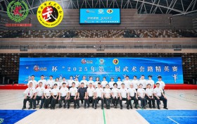 武动长安·拳承千年丨“亿太极杯”2025武术套路精英赛完美收官