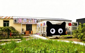 西安“爪爪公社”—每天都是领养日