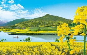 2023中国最美油菜花海汉中旅游文化节活动精彩来袭