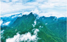 在三秦大地书写新的绿色传奇
