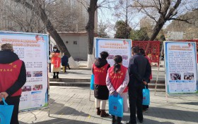 维护妇女儿童权益 促进社会和谐发展