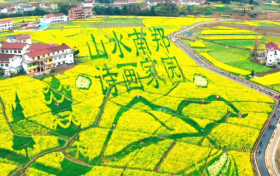 约你在花海 等你在汉中