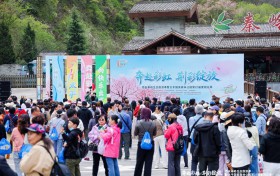 西安秦岭生态旅游季暨太平国家森林公园第二十二届紫荆花季盛大启幕