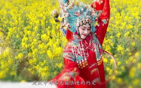 汉中文旅宣传短片《花舞汉中》带你感受
