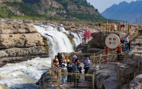 黄河春汛起 梨花漫山开 陕西黄河壶口瀑布迎来醉美春日盛景​
