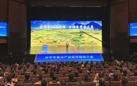 陕西汉中重点产业链专题推介会举行