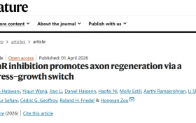 红会医院运动医学诊疗中心科研团队首登《自然》期刊