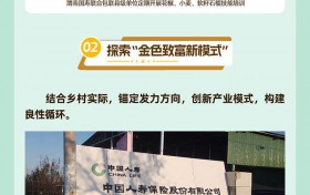 一图概览中国人寿陕西分公司乡村振兴进阶之路