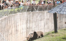 清明假期陕西旅游市场持续火热